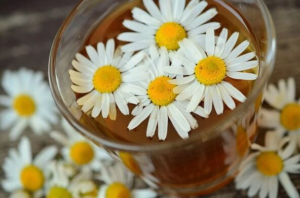 Medicinal infusion based on chamomile against parasites in the body